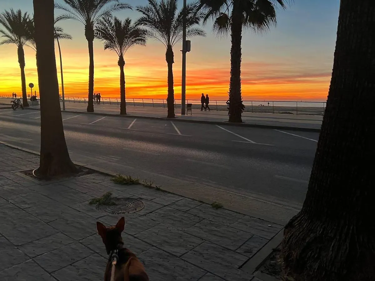 Сasa de vacaciones Villa Duplex Junto A La Playa Sanlúcar de Barrameda